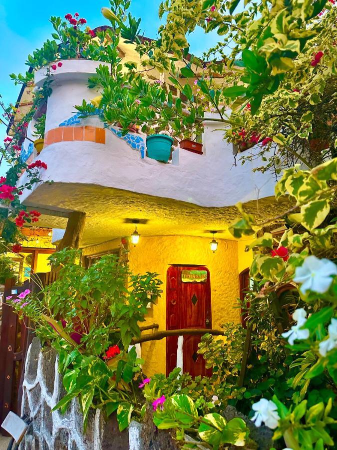 Casa Del House Puerto Ayora (Galapagos Islands)