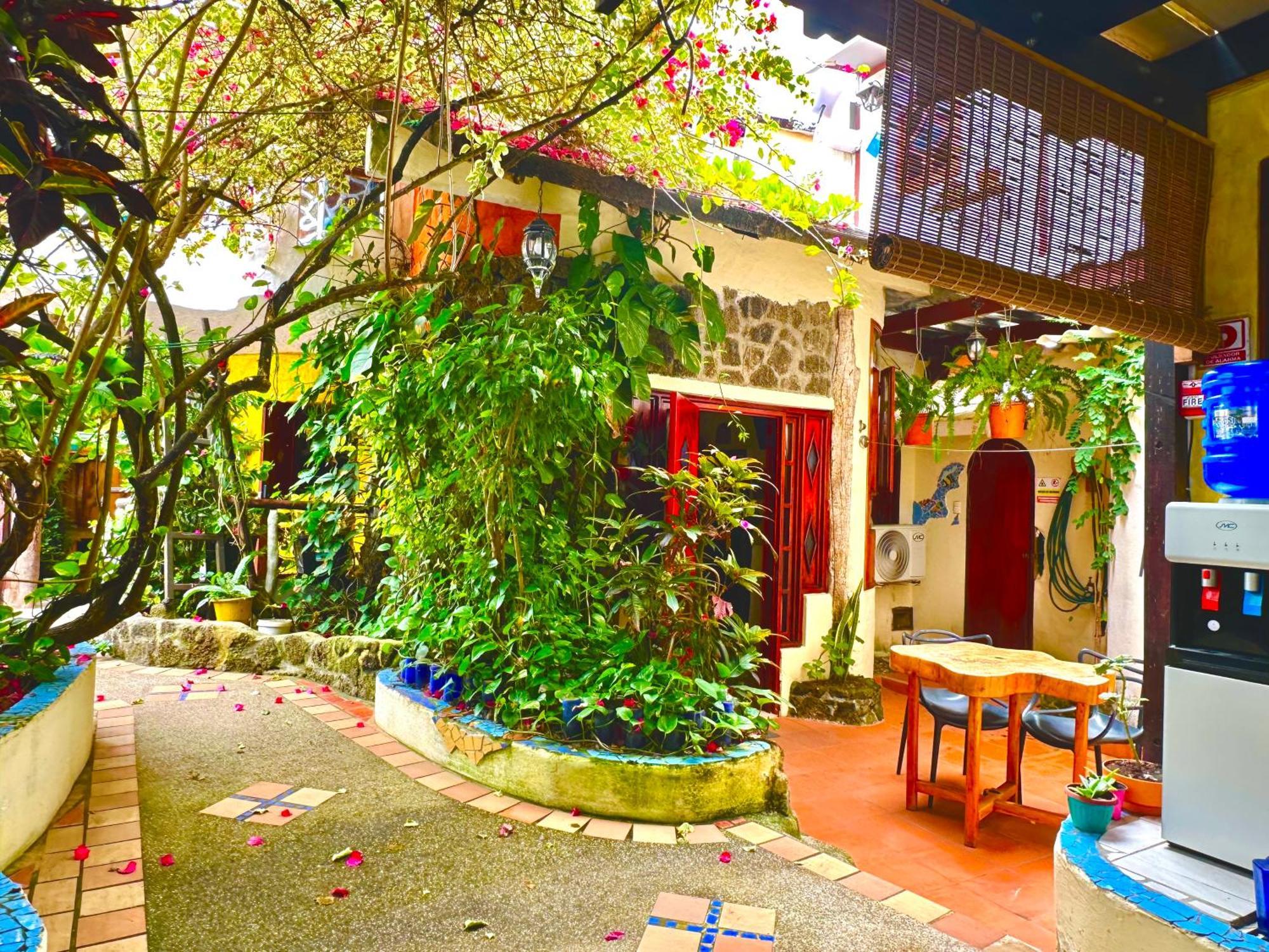 Casa Del House 3*